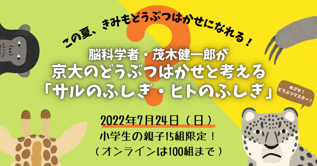 2771_main-1200x628.png